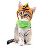 Idepet Cat Costumes, Costumes for Cats Pumpkin Hat Cat Halloween Costumes Adjustable Hat for Party Decoration Small Pet Cat Cap