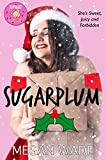 Sugarplum: a BBW Christmas romance (Sweet Curves Book 4)