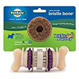 PetSafe Busy Buddy Bristle Bone - Treat-Holding Toy for Dogs - Treat Rings Included - Treats Thoroughly Mixed During Bake to Prevent Choking - Rigorously Tested Ingredients - Purple, Small