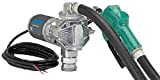 GPI G20 12V Fuel Transfer Pump, Automatic Nozzle, 20 GPM fuel pump, 14' Hose, Adjustable Suction Pipe (162000-03)