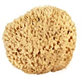 Sea Wool Sponge 5-6" (Large) by Bath & Shower Express  Natural Renewable Resource!
