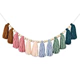 DrCor Boho Tassel Garland Earth Toned Rainbow Tassel Wall Hanging Decor for Christmas Classroom Nursery Party Kids Bedroom Dorm Birthday Baby Shower Decoration