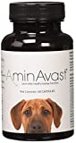 AminAvast Kidney Support Supplement for Cats and Dogs, 1000mg - Promotes Natural Kidney Function - Aids in Health and Vitality of Aging Kidneys - Easily Administered - 60 Sprinkle Capsules