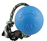 Jolly Pets Romp-n-Roll Rope and Ball Dog Toy, 8 Inches/Large, Blueberry