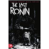 Teenage Mutant Ninja Turtles The Last Ronin #2 Sophie Campbell 1:10 Variant