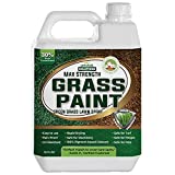 PetraTools Grass Paint Max Strength, Green Grass Lawn Spray & Dog Spot Repair, Lawn Paint, Spray on Grass, Green Lawn Spray, Grass Paint for Lawn, Lawn Spray Paint, Green Dye for Lawn (32 Oz)