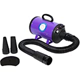 Flying Pig High Velocity Pet Grooming Dryer w/ Heater (model: Flying One, Purple)