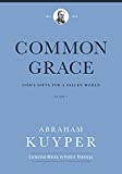 Common Grace (Volume 1): God's Gifts for a Fallen World (Abraham Kuyper Collected Works in Public Theology)