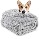 LOCHAS Luxury Velvet Fluffy Dog Blanket, Extra Soft and Warm Sherpa Fleece Pet Blankets for Dogs Cats, Plush Furry Faux Fur Puppy Throw Cover, 20''x30'' Gray