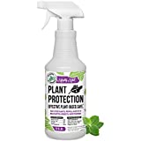 Mighty Mint 32oz Plant Protection Peppermint Spray for Spider Mites, Insects, Gnats, Fungus, and Disease