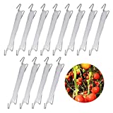 Generic Tomato Support Hooks,12Pcs Tomato Truss Hooks Tomato Support j Hook Clips Plant Climbing Hooks Plant Vine Support String Rope 33Ft to Prevent Tomatoes from Pinching or Falling Off