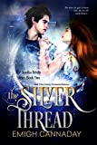 The Silver Thread: The Fae Portals Universe (The Annika Brisby Series Book 2)