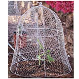 HEIDI & OLAV 14" x 14" Squirrel Proof Chicken Wire Cloche for Plants Metal Plant Cover Cage Garden Animal Protection Metal Plant Cage Protector Dome Rabbit Bunny Guard (14" White)