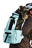 K9 Sport Sack | Dog Carrier Adjustable Backpack (Large, Air 2 - Summer Mint)