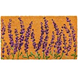 Floral Spring Coir Door Mat for Front Porch, Lavender Flower Outdoor Welcome Mat (30 x 17 Inches)