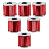 AloneGoer 6pcs KLR650 Oil Filter Compatible with Kawasaki Bayou 300 Oil Filter 220 250 KLF220 KLF250 KLF300 KLF300A KLF300B KLF300C KLF400B KLX250 KLX650A KLX650C KLX650D