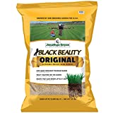 Jonathan Green (10316) Black Beauty Original Grass Seed Blend - Cool Season Lawn Seed (50 lb)