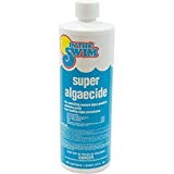 In The Swim Super Pool Algaecide  Low Odor Non-Foaming Preventative Treatment for Yellow Algae in Above Ground or In-Ground Swimming Pools  1 Quart