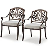 AVAWING Cast Aluminum Patio Chairs, Outdoor Dining Chairs Set of 2 w/Armrest for Garden, Porch, Backyard and Balcony