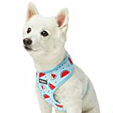 Blueberry Pet 2022 New Summer Sparkle Dog Harness Vest, Adjustable Small Size, Chest Girth 16" - 21", Blue, Zesty Fruit Watermelon Print Pet Harness