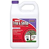 Bonide Annual Tree & Shrub Insect Control with Systemaxx, 128 oz Concentrate, Year Long Protection and Insect Killer