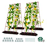 DoCred Cucumber Trellis, 2 Pack Foldable A Frame Trellis for Raised Bed Climbing Plants, Vegetables, Includes Plant Support Clips, Twist Ties, Plastic Ties- Made from PVC-Coated Steel