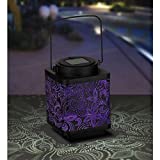 Regal's Shadow Lantern SM (Paisley)