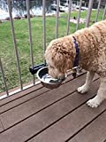 Hold It Mate Adjustable Dog Bowl Kit (Single) Attach to Vertical Railing Spindles at Your Pets Height! Water Bowl or Food Bowl