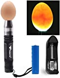 Powerful Professional LED Light Egg Candler Incubator Stainless Steel Tester for All Egg Type, Ultra Bright, Powered Portable, with Full Illustrated Egg Candling Guide (B- Include Batteries)