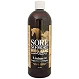 Arenus Sore No More Performance Ultra Liniment 16 oz