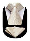 HISDERN Champagne Tie Light Gold Cream Ties for Men Solid Paisley Neckties and Pocket Squares Set for Weddings