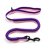 JOY ANAN Elastic Buffer pet Leash Pet Leash 5ft High Reflective Dog Leash, Large, Medium Small Dogs Strong Durable Outdoor Walking pet Leash, Lightweight Design Dog Neck Pressure Free