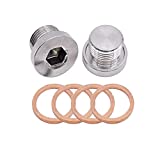 Stainless Steel Hex Head Pipe Fitting,Internal Hex Pipe Plug Socket with Gasket, Universal Fit, Thread (M16x1.5)