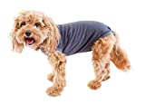 BellyGuard - After Surgery Dog Recovery Onesie, Post Spay, Neuter, Body Suit for Male and Female Dogs, Comfortable Cone Alternative for Large and Small Dogs, Soft Cotton Covers Wound, Stitches, Small