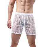Evankin Men's See Through Mesh Shorts Sexy Hollow Boxer Underwear CLoose Lounge Shorts Trunks(DKYD/White,XL)