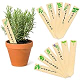 Wooden Plant Labels Sign Planted Assorted 12-Pack Kitchen Herbs! Outdoor Indoor Garden Stakes Garden Gifts Garden Markers Re-Usable Plant Tags