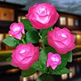 Solar Flower Lights Outdoor - Upgraded New MaterialTwo Modes Realistic LED Solar Powered Waterproof Lights with 5 Roses, Solar Decorative Stake Lights for Garden Patio Yard Pathway Lawn(Pink)