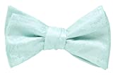 Mens Silk Paisley Self Tie Bow Ties - Jacquard Butterfly Bowties - Wedding - Gifts (Mint Green)
