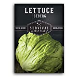 Survival Garden Seeds - Iceberg Lettuce Seed for Planting - Packet with Instructions to Plant and Grow Crisp Head Lettuce in Your Home Vegetable Garden - Non-GMO Heirloom Variety