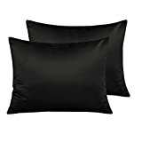 NTBAY Zippered Satin Pillow Cases for Hair and Skin, Luxury Standard Hidden Zipper Pillowcases Set of 2, 20 x 26 Inches, Black