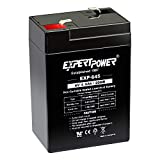 ExpertPower 6 Volt 4.5 Amp Rechargeable Battery (EXP645)