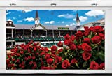 Nepnuser Kentucky Derby Photo Booth Backdrop Churchill Downs Horse Racing Rose Indoor Outdoor Party Photography Home Wall Background Decoration
