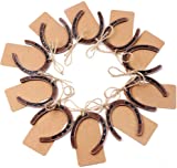AerWo 20pcs Good Lucky Horse Shoes with Kraft Tag, Metal Mini Craft Horseshoes Decorations for Rustic Vintage Wedding Party Decor Western Party Decorations