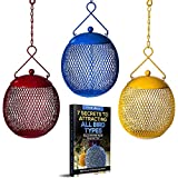 Backyard Expressions - Set of 3 Squirrel Proof Bird Feeders for Outside - Bonus Ebook and Bird Attraction Audio Included - Squirrel Resistant Bird Feeders