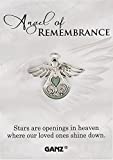 Ganz Pin - Angel of Remembrance "Stars Are Openings In Heaven Where Our Loved Ones Shines Down."