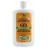 Absorbine Veterinary Liniment Gel, 12-Ounce by Absorbine