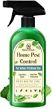 NATURAL OUST Peppermint Oil Mouse Repellent Spray - Roach Ant Spider Bug Insect Killer - Eco Friendly Pest Control to Repel Mice - Humane Repeller Alternative to Trap