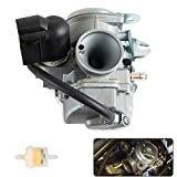 Wztepeng Carburetor with Fuel Filter Compatible with 2008-2019 Honda RUCKUS 50 NPS50,Replace # 16100-GGA-672