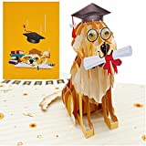 Liif 2022 Graduation Dog 3D Greeting Pop Up Graduation Card - Funny, Congratulations, Grad Announcement, Class Of 2022 - For College, High School, Son, Daughter, PHD, Master