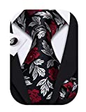 Barry.Wang Men's Classic Floral Necktie Set,Black Red,One Size
